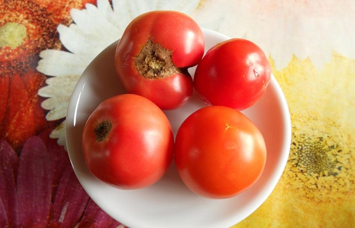 Cà chua dưỡng trắng da siêu tốc tại nhà, tiết kiệm chi phí Cà chua dưỡng trắng da siêu tốc tại nhà, tiết kiệm chi phí