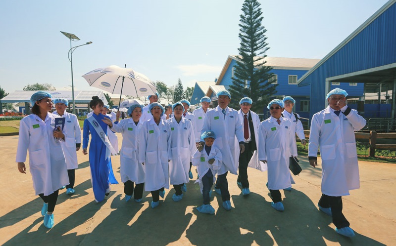 Trang trại bò sữa Organic đầu tiên tại Việt Nam - Ảnh 12