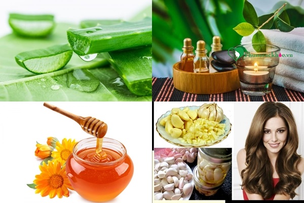 Dầu gội thảo dược chữa rụng tóc sau sinh Dầu gội thảo dược chữa rụng tóc sau sinh