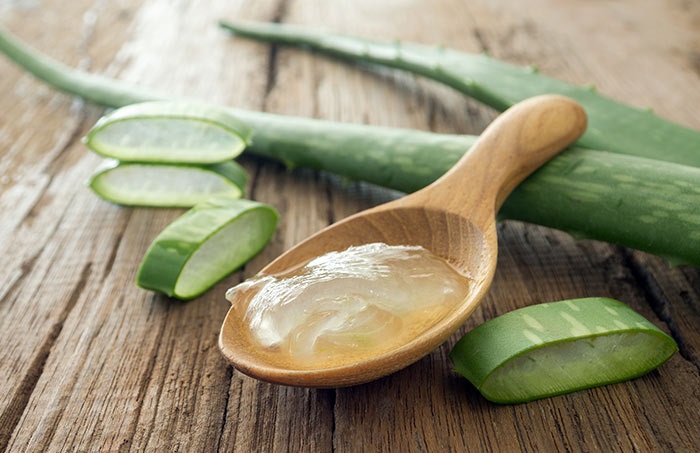 Dưỡng môi bằng nha đam hằng ngày giúp môi hồng rạng rỡ Dưỡng môi bằng nha đam hằng ngày giúp môi hồng rạng rỡ