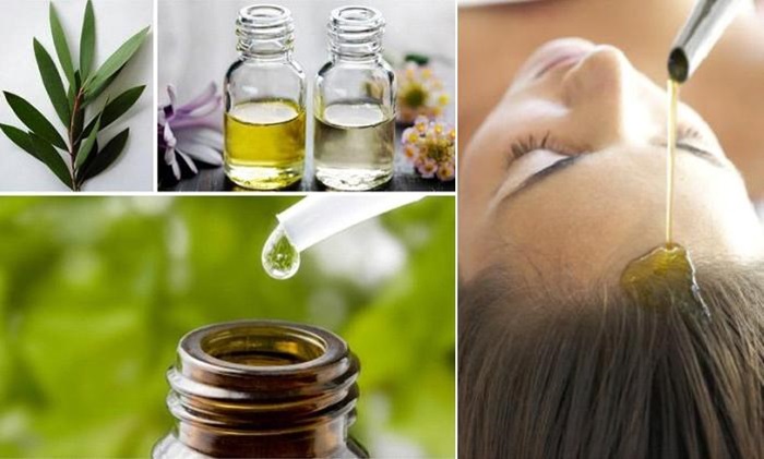 Cách trị gàu hiệu quả cho nữ bằng tinh dầu cây tràm trà
