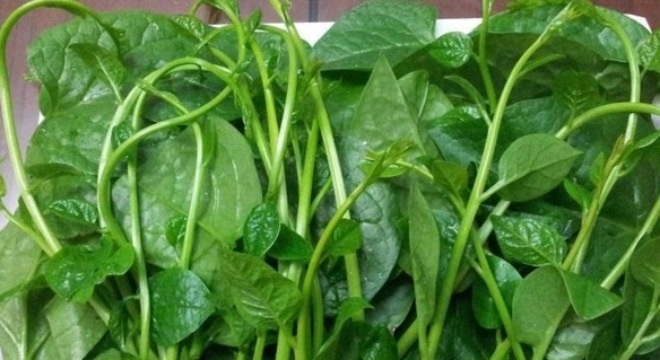 Trị táo bón cho trẻ sơ sinh không cần dùng thuốc Trị táo bón cho trẻ sơ sinh không cần dùng thuốc