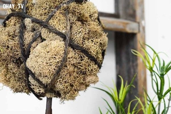 Lạ lùng cách đối phó trong ngày 'đèn đỏ' của người xưa - Ảnh 1 Lạ lùng cách đối phó trong ngày 'đèn đỏ' của người xưa - Ảnh 1