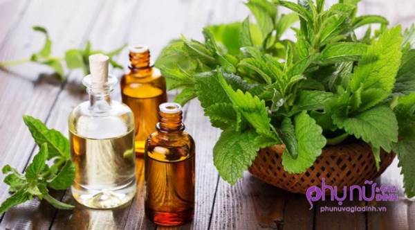 Cắn bút chì trong 60 giây, bạn sẽ tiếc 'đứt ruột' vì không biết điều này sớm hơn - Ảnh 2 Cắn bút chì trong 60 giây, bạn sẽ tiếc 'đứt ruột' vì không biết điều này sớm hơn - Ảnh 2