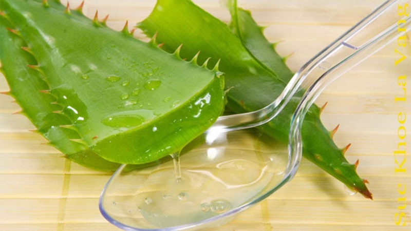 5 thành phần tự nhiên giúp làn da mãi mãi tươi trẻ - Ảnh 4 Ngoài khả năng làm chậm quá trình lão hóa, nha đam còn giúp dưỡng trắng, xóa mờ nếp nhăn - Ảnh: Internet