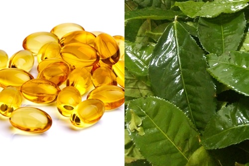 Chẳng còn ngại nắng hè sẽ làm da sạm đen, bỏng rát nếu áp dụng 3 công thức mặt nạ này - Ảnh 2 Khỏi lo làm da sạm đen, bỏng rát nếu áp dụng 3 công thức mặt nạ này