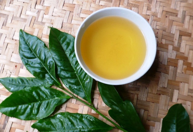 Quên kem dưỡng tiền triệu đi, đây mới chính là 'thần dược' giúp da trắng bóc, sạch mụn sau 1 tuần - Ảnh 3 Công thức mặt nạ từ lá trà giúp da trắng mịn, sạch mụn sau 1 tuần