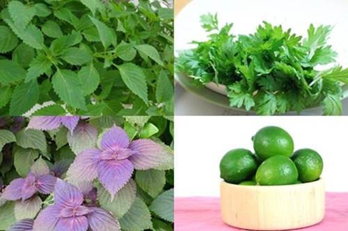 Da trắng bóc, sạch mụn nhờ xông hơi bằng thứ nước này - Ảnh 1 Da trắng bóc, sạch mụn nhờ xông hơi bằng thứ nước này