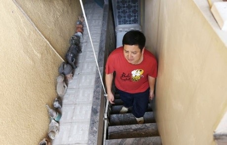 Nổi tiếng là thế nhưng các sao Việt này vẫn ở những ngôi nhà giản dị đến khó tin - Ảnh 9 Nổi tiếng là thế nhưng các sao Việt này vẫn ở những ngôi nhà giản dị đến khó tin - Ảnh 9