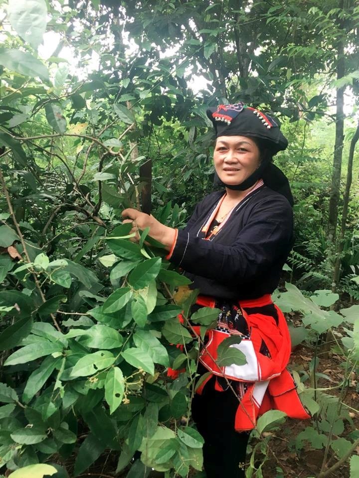 Lương y trị Dương Thị Thanh và khát vọng phát huy bài thuốc quý Lương y trị Dương Thị Thanh và khát vọng phát huy bài thuốc quý