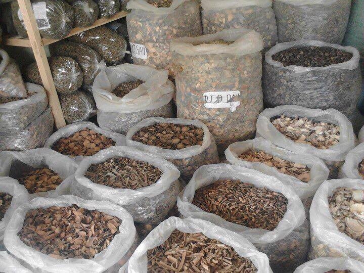 Lương y trị Dương Thị Thanh và khát vọng phát huy bài thuốc quý Lương y trị Dương Thị Thanh và khát vọng phát huy bài thuốc quý