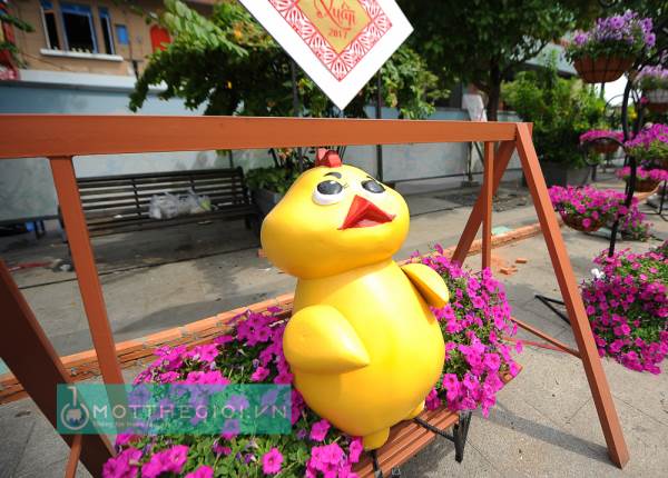 Cận cảnh 'chú gà Pikachu' hot nhất đường hoa Nguyễn Huệ 2017 - Ảnh 8