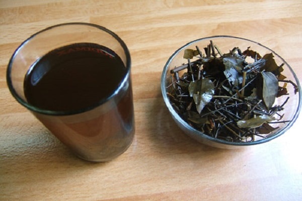 Uống nước chè vằng mỗi ngày để hỗ trợ giảm cân sau sinh