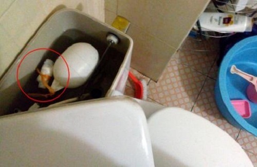 Té ghế với những 'âm mưu' cất giấu quỹ đen bá đạo của chồng và những 'thủ đoạn' trừng trị cao tay của các bà vợ - Ảnh 4 Té ghế với những 'âm mưu' cất giấu quỹ đen bá đạo của chồng và những 'thủ đoạn' trừng trị cao tay của các bà vợ - Ảnh 4
