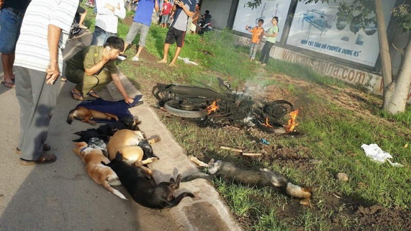 Hai thanh niên trộm chó bị người dân vây đánh bất tỉnh, đốt cháy cả xe - Ảnh 6
