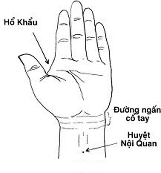 Ngăn ngừa lão hóa, trẻ ra cả chục tuổi chỉ nhờ vài phút mát xa huyệt này mỗi ngày - Ảnh 1 Ngăn ngừa lão hóa, trẻ ra cả chục tuổi chỉ nhờ vài phút mát xa huyệt này mỗi ngày - Ảnh 1