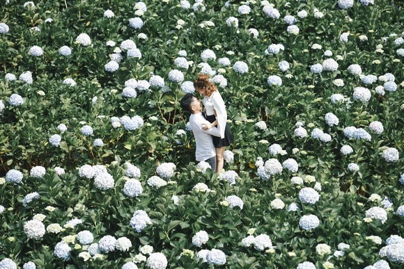 Fan xuýt xoa trước bộ ảnh Khánh Thi - Phan Hiển hôn nhau say đắm giữa đồng hoa cẩm tú cầu - Ảnh 10