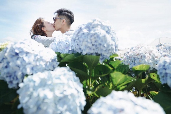 Fan xuýt xoa trước bộ ảnh Khánh Thi - Phan Hiển hôn nhau say đắm giữa đồng hoa cẩm tú cầu - Ảnh 11