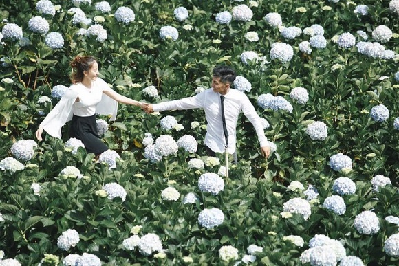 Fan xuýt xoa trước bộ ảnh Khánh Thi - Phan Hiển hôn nhau say đắm giữa đồng hoa cẩm tú cầu - Ảnh 6