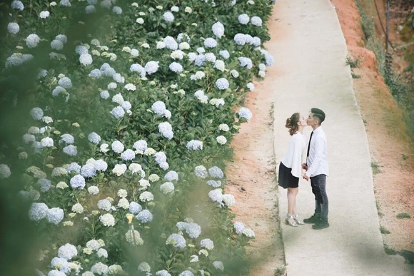 Fan xuýt xoa trước bộ ảnh Khánh Thi - Phan Hiển hôn nhau say đắm giữa đồng hoa cẩm tú cầu - Ảnh 7