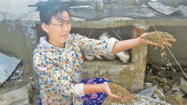 Hậu quả bão số 10: Vật vã, nhọc nhằn nơi những ‘ngôi nhà không có đàn ông’ - Ảnh 3 Hậu quả bão số 10: Vật vã, nhọc nhằn nơi những ‘ngôi nhà không có đàn ông’ - Ảnh 3