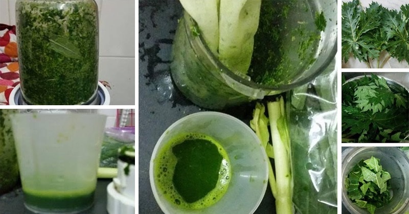 Lá đu đủ có tác dụng gì? Những công dụng được ít người biết đến - Ảnh 3 Chị em ai bị đau bụng đến ngày thì không thể bỏ qua công dụng giảm đau kỳ diệu này của lá đu đủ đâu