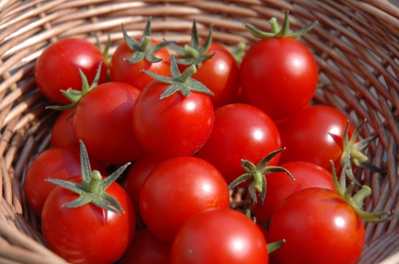 Cà chua không những tốt cho cơ thể mà còn giúp dưỡng trắng da