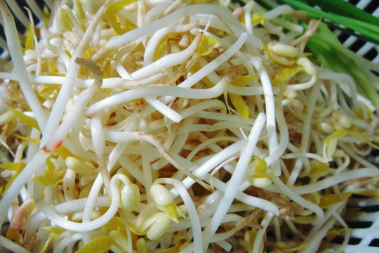 Top 10 thực phẩm kìm hãm quá trình lão hóa đến mức tối đa, ăn càng nhiều càng trẻ - Ảnh 5 Top 10 thực phẩm kìm hãm quá trình lão hóa đến mức tối đa, ăn càng nhiều càng trẻ - Ảnh 5