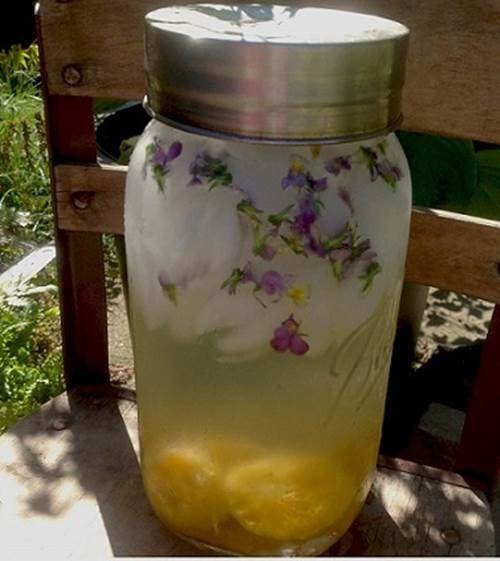 Công thức nước uống 'thần thánh' giảm 3kg trong 1 tuần không hại dạ dày - Ảnh 1 Công thức nước uống 'thần thánh' giảm 3kg trong 1 tuần không hại dạ dày - Ảnh 1