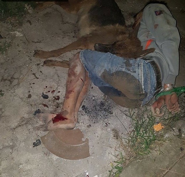 Thanh niên trộm chó bị treo cổ: Cư dân mạng tranh cãi nảy lửa nên tha hay nên đánh - Ảnh 2