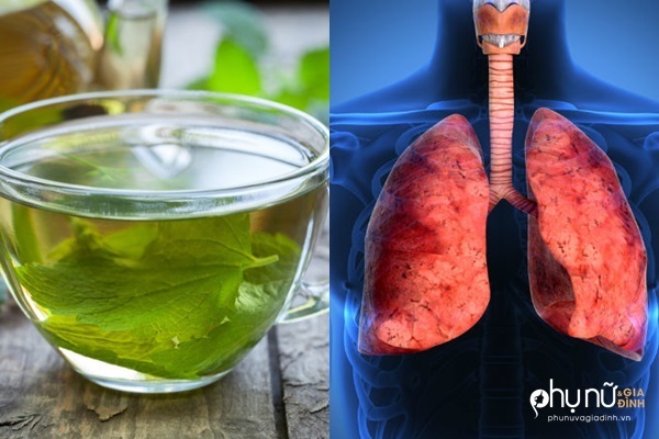 'Tiên dược' cho phổi: Trị ho, viêm phổi, viêm phế quản, hen suyễn thần tốc không cần thuốc - Ảnh 1