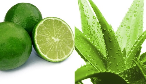 Trắng da nhanh trong 7 ngày không thể bỏ qua công thức chanh kết hợp nha đam Trắng da nhanh trong 7 ngày không thể bỏ qua công thức chanh kết hợp nha đam