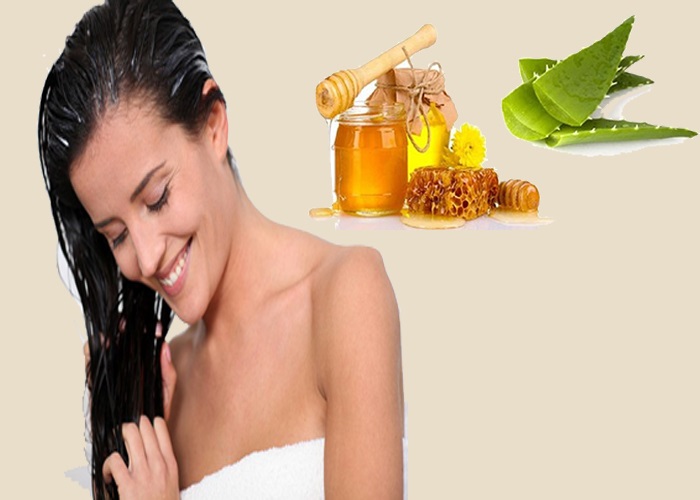Cách trị gàu bằng nha đam và mật ong