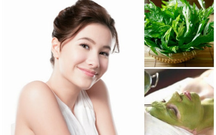 Trị sẹo lồi bằng tinh chất ngải cứu. Trị sẹo lồi bằng tinh chất ngải cứu.