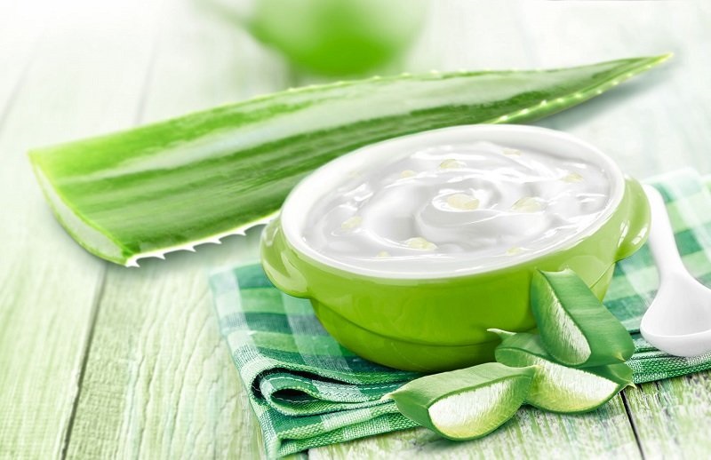 Cách trị sẹo lồi tại nhà bằng nha đam và sữa chua Cách trị sẹo lồi tại nhà bằng nha đam và sữa chua