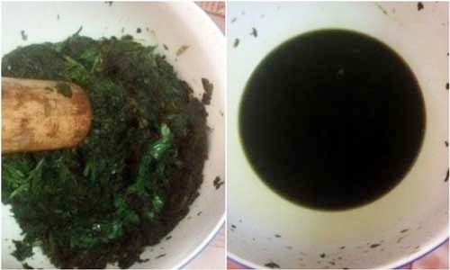 Xay nhuyễn lá tía tô trộn với thứ này thoa 3 lần/tuần, mụn thịt quanh mắt, thâm nám lâu năm tự động tiêu biến - Ảnh 2 Xay nhuyễn lá tía tô trộn với thứ này thoa 3 lần/tuần, mụn thịt quanh mắt, thâm nám lâu năm tự động tiêu biến - Ảnh 2