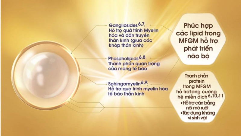 Vì sao mẹ cần phải bổ sung MFGM cho trẻ? - Ảnh 1 Vì sao mẹ cần phải bổ sung MFGM cho trẻ? - Ảnh 1
