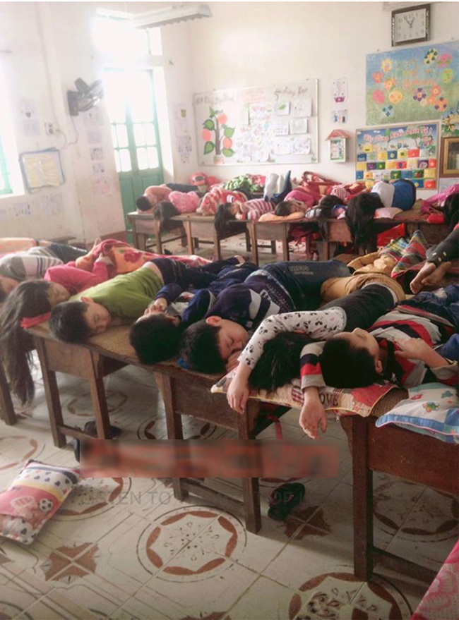 Bức ảnh 'cá mòi xếp lớp' học sinh bán trú ngủ trưa khiến dân mạng rào rào kể kỷ niệm tuổi thơ - Ảnh 1